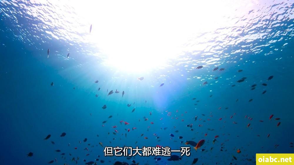 一座城在等你剧照1